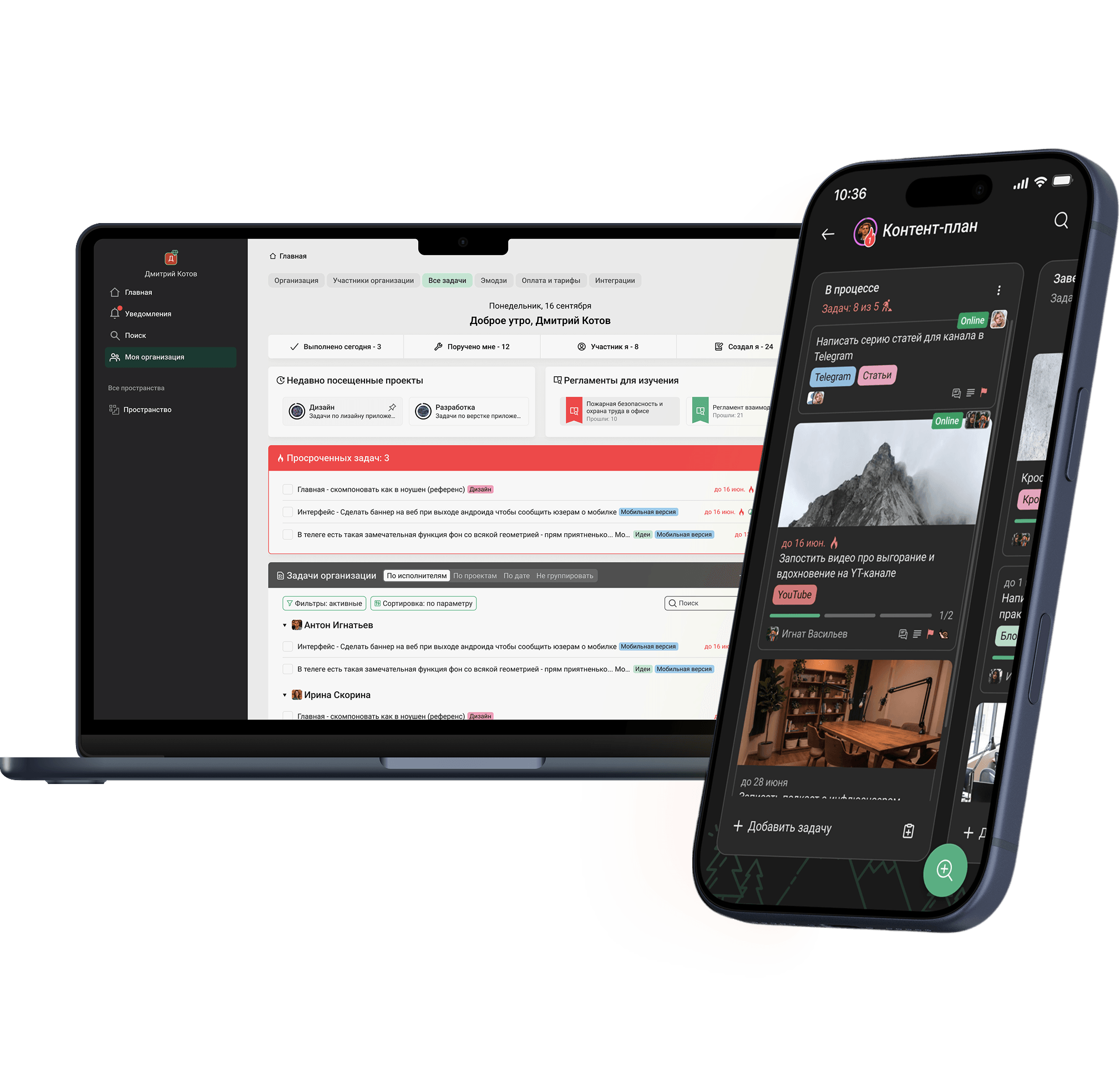 Strive application screenshot